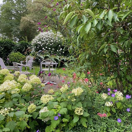 De Viersprong Bed & Breakfast Ларен Екстериор снимка