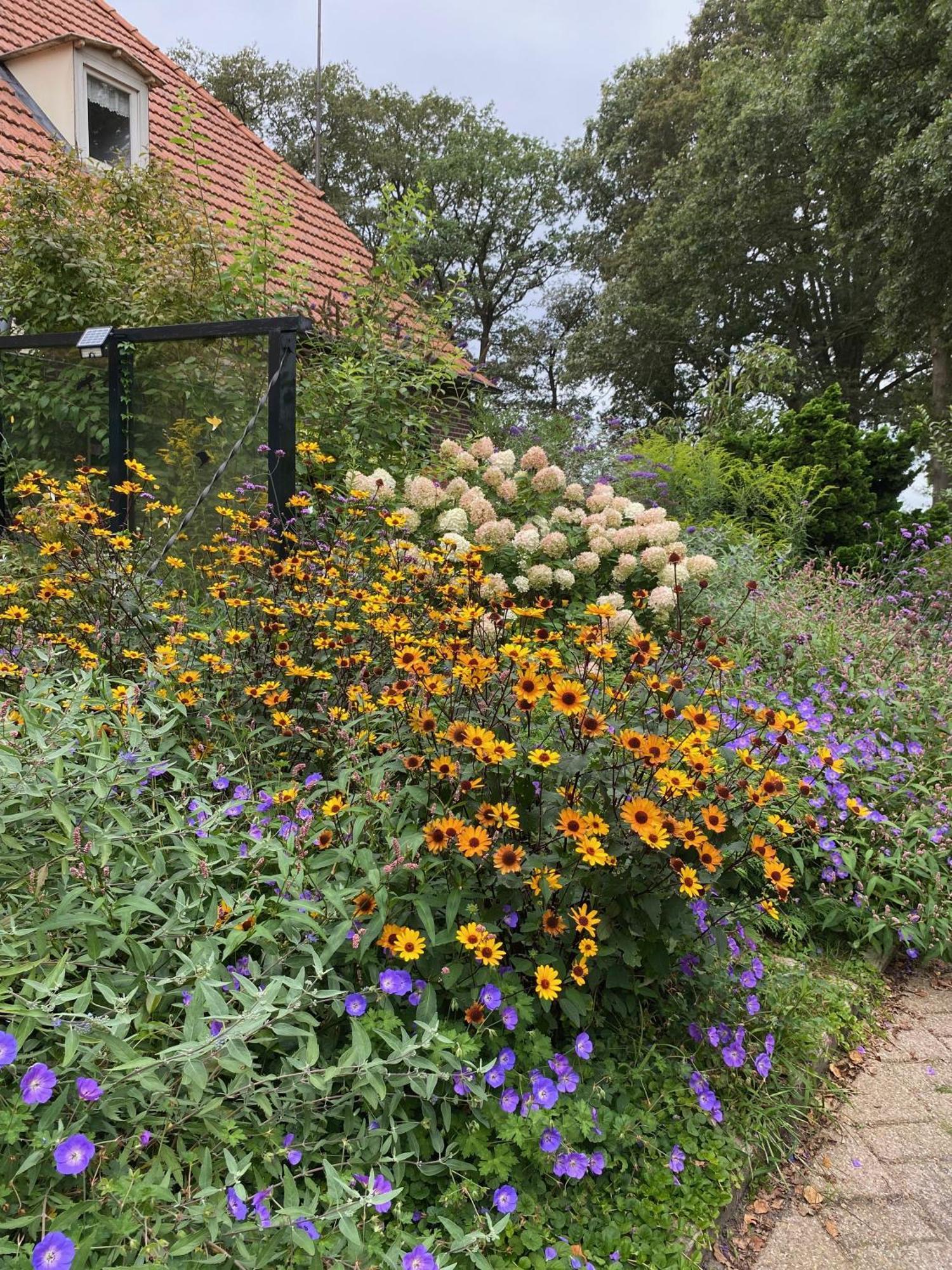 De Viersprong Bed & Breakfast Ларен Екстериор снимка